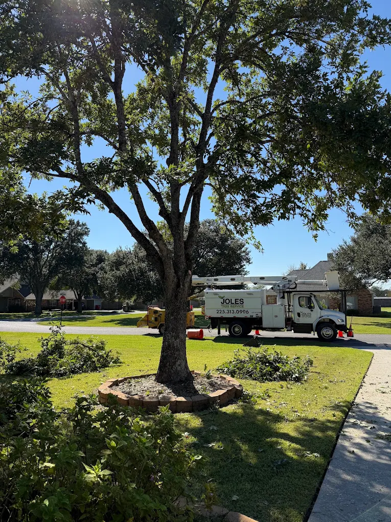 Joles Tree Service truck and equipment at a residential job site